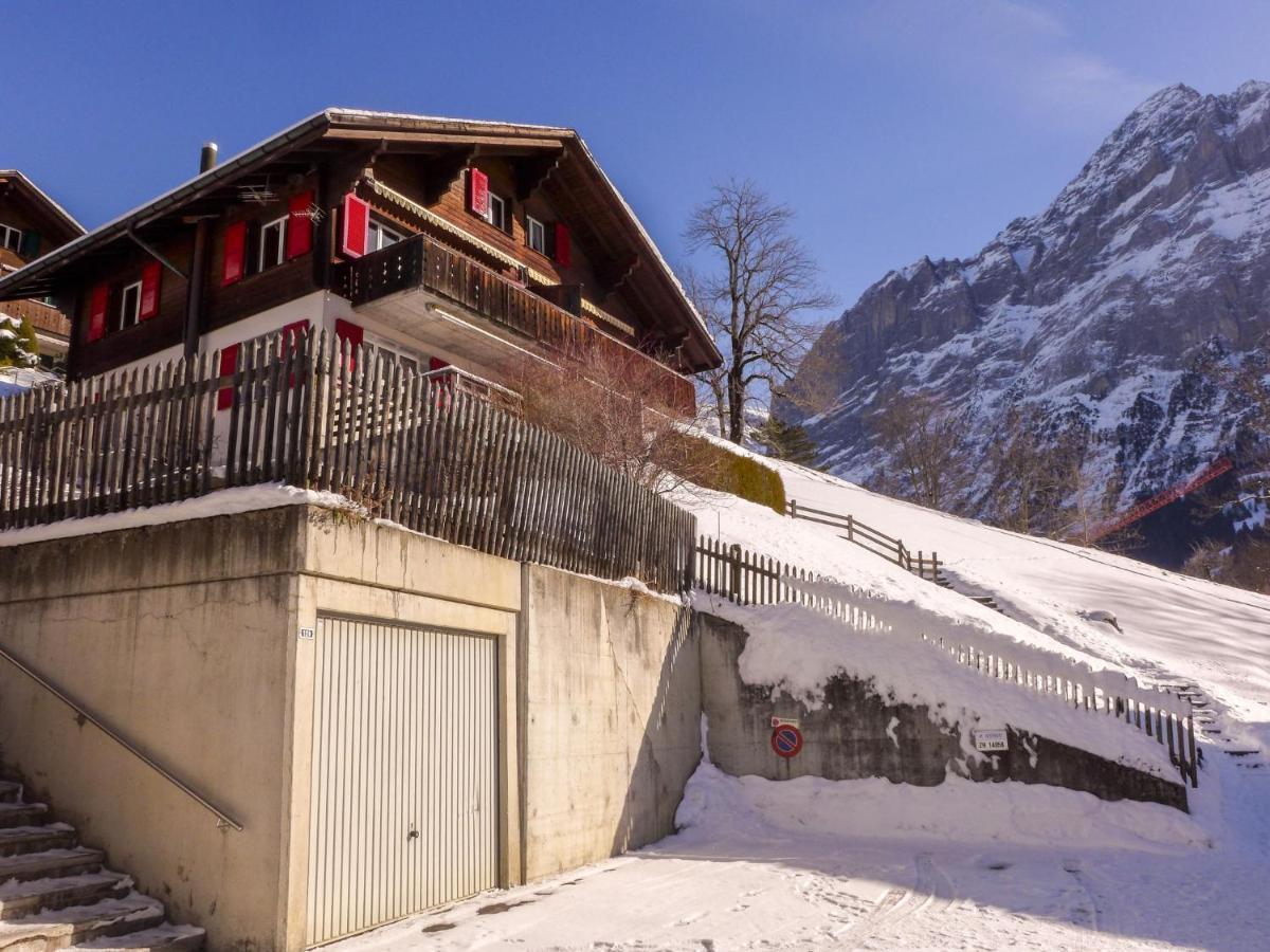 Apartment Chalet Albi Grindelwald Extérieur photo