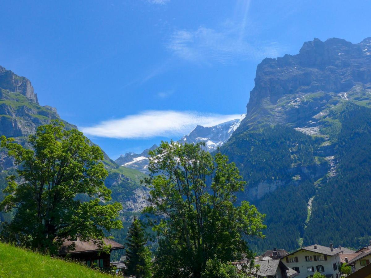 Apartment Chalet Albi Grindelwald Extérieur photo