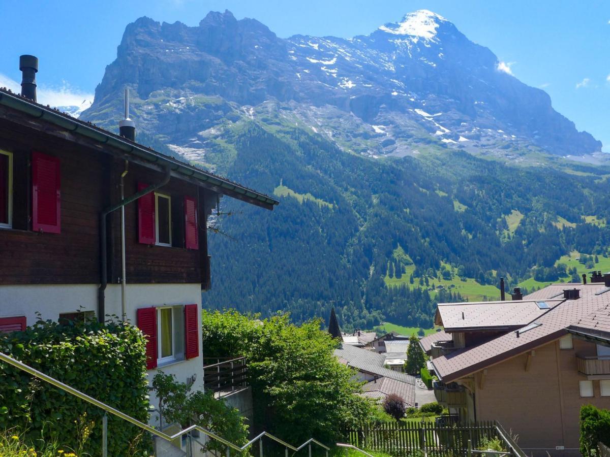 Apartment Chalet Albi Grindelwald Extérieur photo