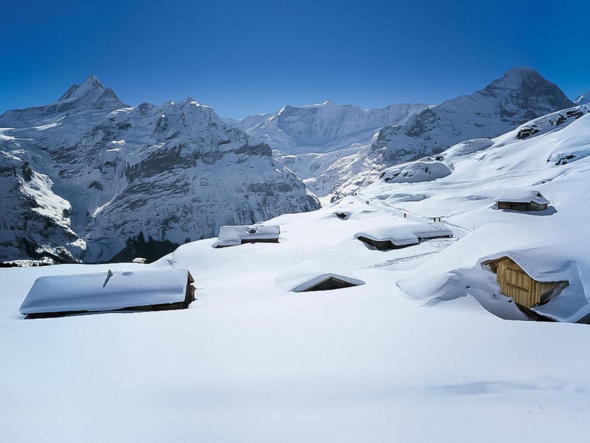 Apartment Chalet Albi Grindelwald Extérieur photo