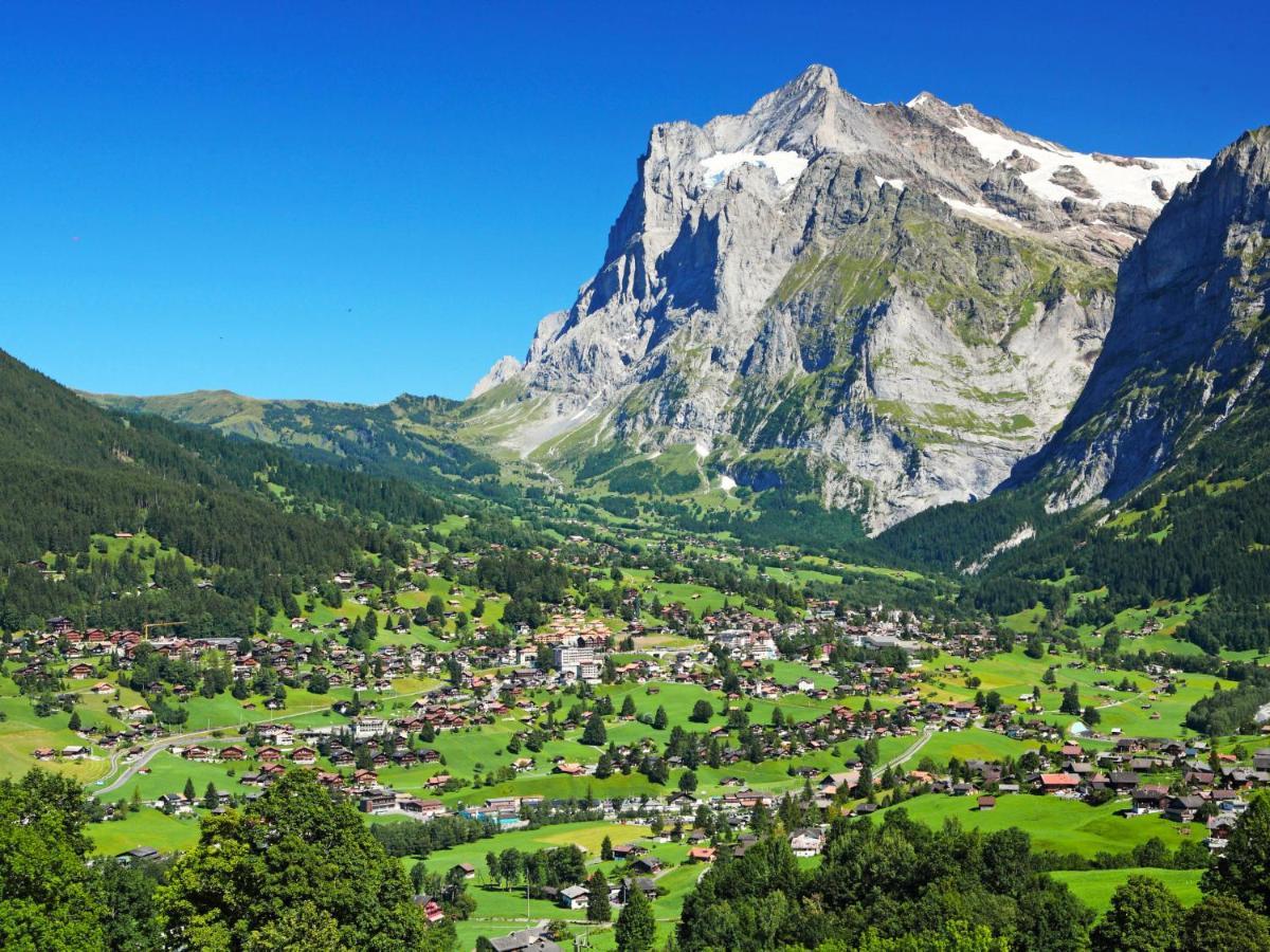Apartment Chalet Albi Grindelwald Extérieur photo