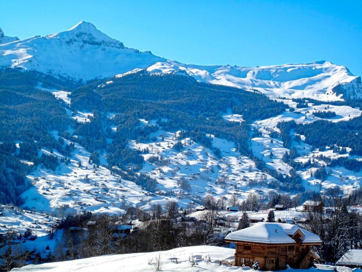 Apartment Chalet Albi Grindelwald Extérieur photo